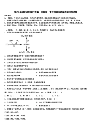 2025年河北省张家口市第一中学高一下生物期末教学质量检测试题含解析
