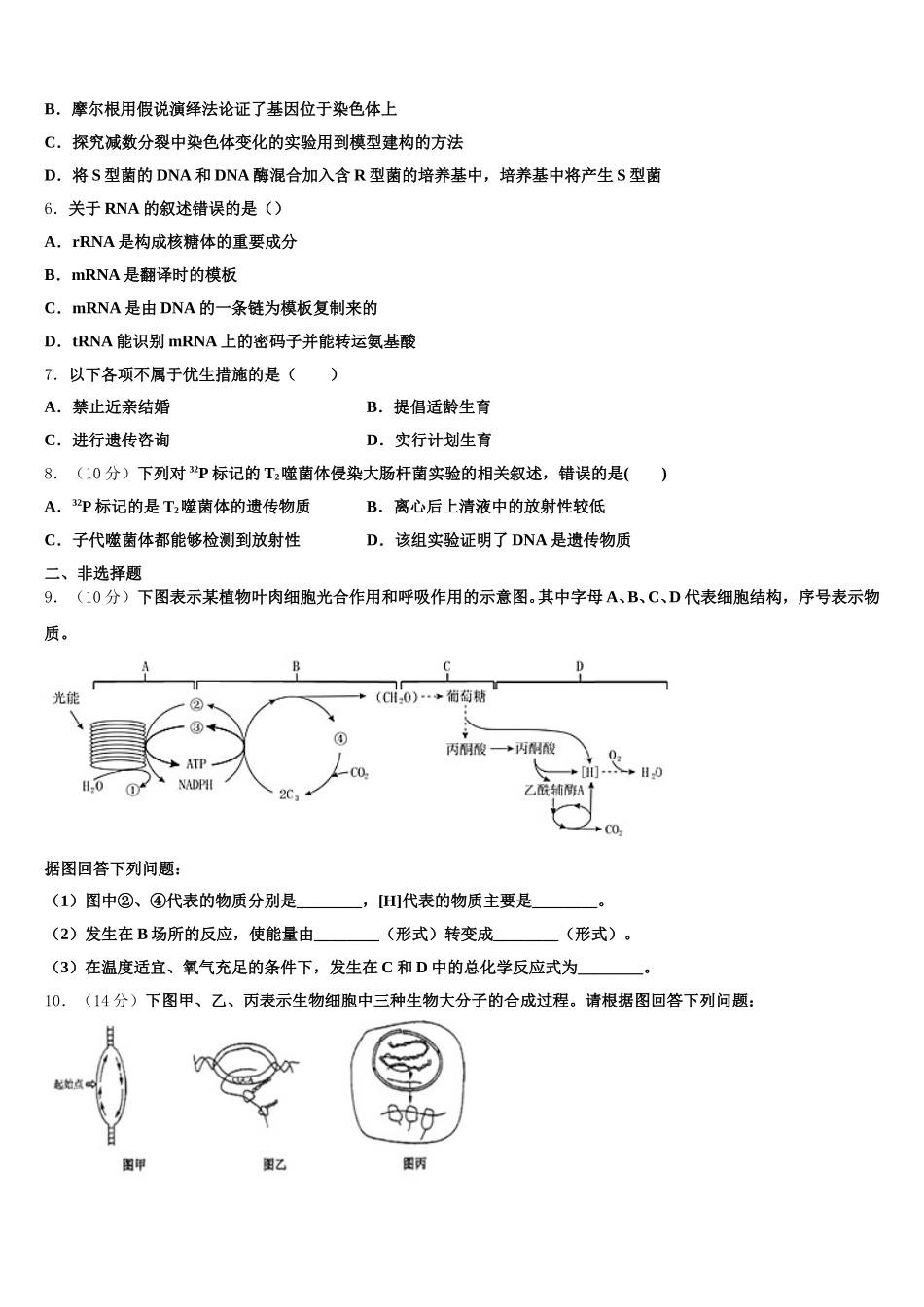 河北省易县中学2025年高一生物第二学期期末经典模拟试题含解析_第2页