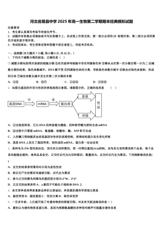 河北省易县中学2025年高一生物第二学期期末经典模拟试题含解析
