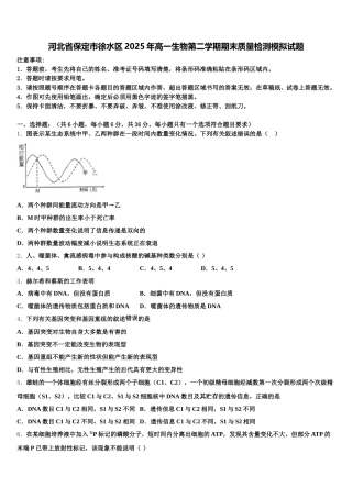 河北省保定市徐水区2025年高一生物第二学期期末质量检测模拟试题含解析