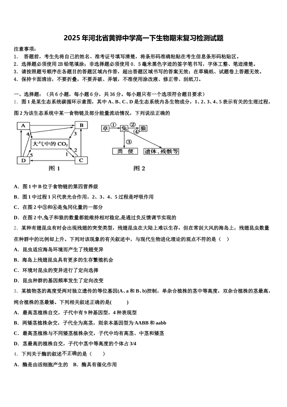 2025年河北省黄骅中学高一下生物期末复习检测试题含解析_第1页