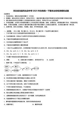 河北省沧县风化店中学2025年生物高一下期末达标检测模拟试题含解析