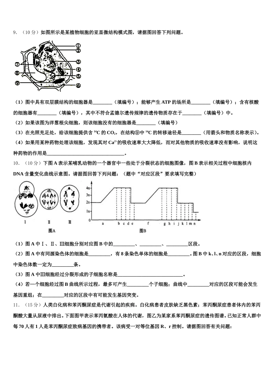 2025届河北省隆化县存瑞中学高一下生物期末调研试题含解析_第3页