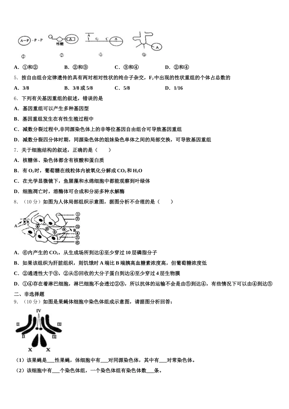 河北省衡水十三中2024-2025学年生物高一下期末调研模拟试题含解析_第2页