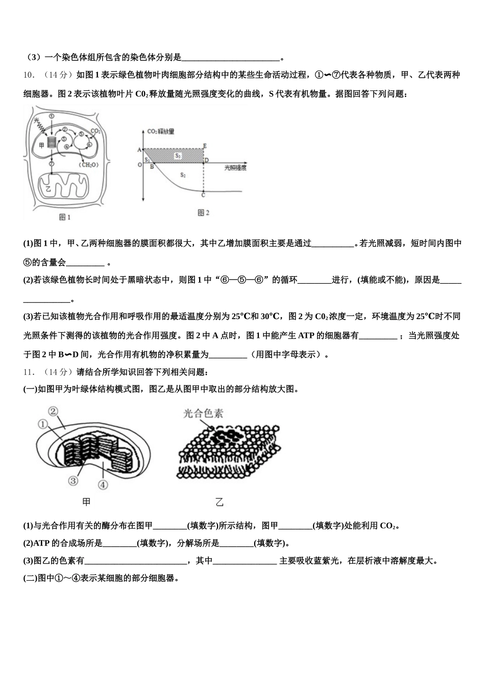 河北省衡水十三中2024-2025学年生物高一下期末调研模拟试题含解析_第3页