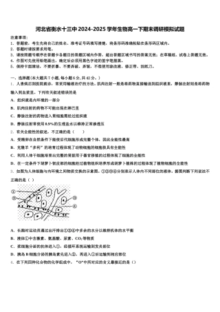 河北省衡水十三中2024-2025学年生物高一下期末调研模拟试题含解析
