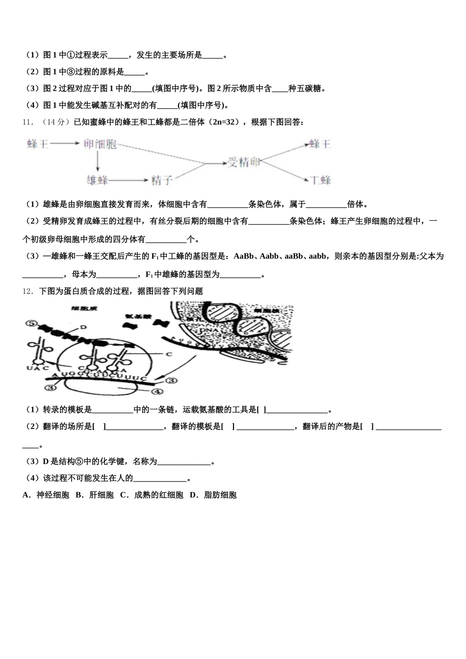 河北省石家庄市2024-2025学年生物高一下期末检测模拟试题含解析_第3页