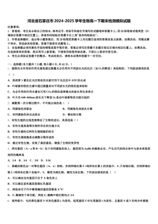 河北省石家庄市2024-2025学年生物高一下期末检测模拟试题含解析