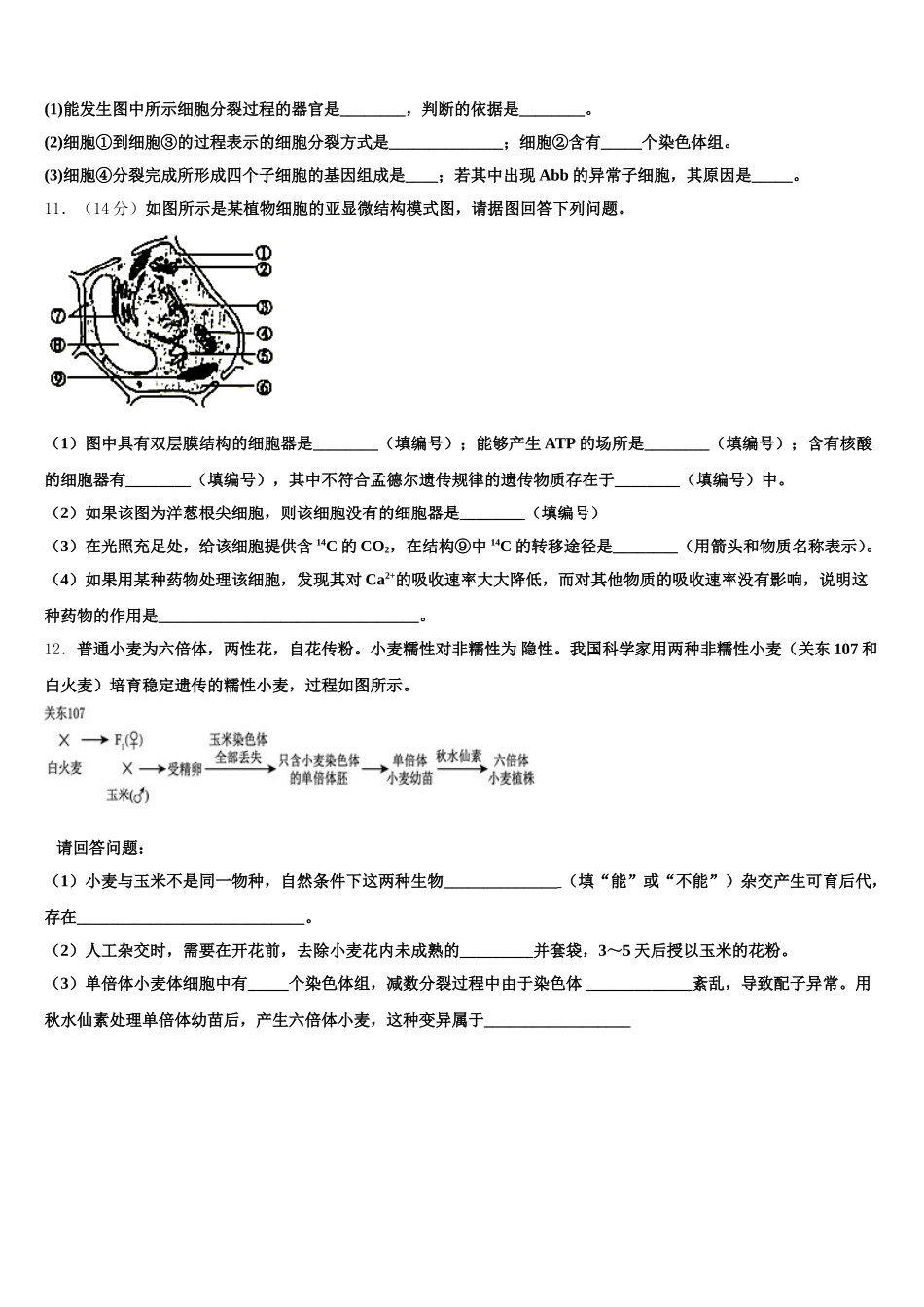 2024-2025学年正定中学高一下生物期末监测模拟试题含解析_第3页