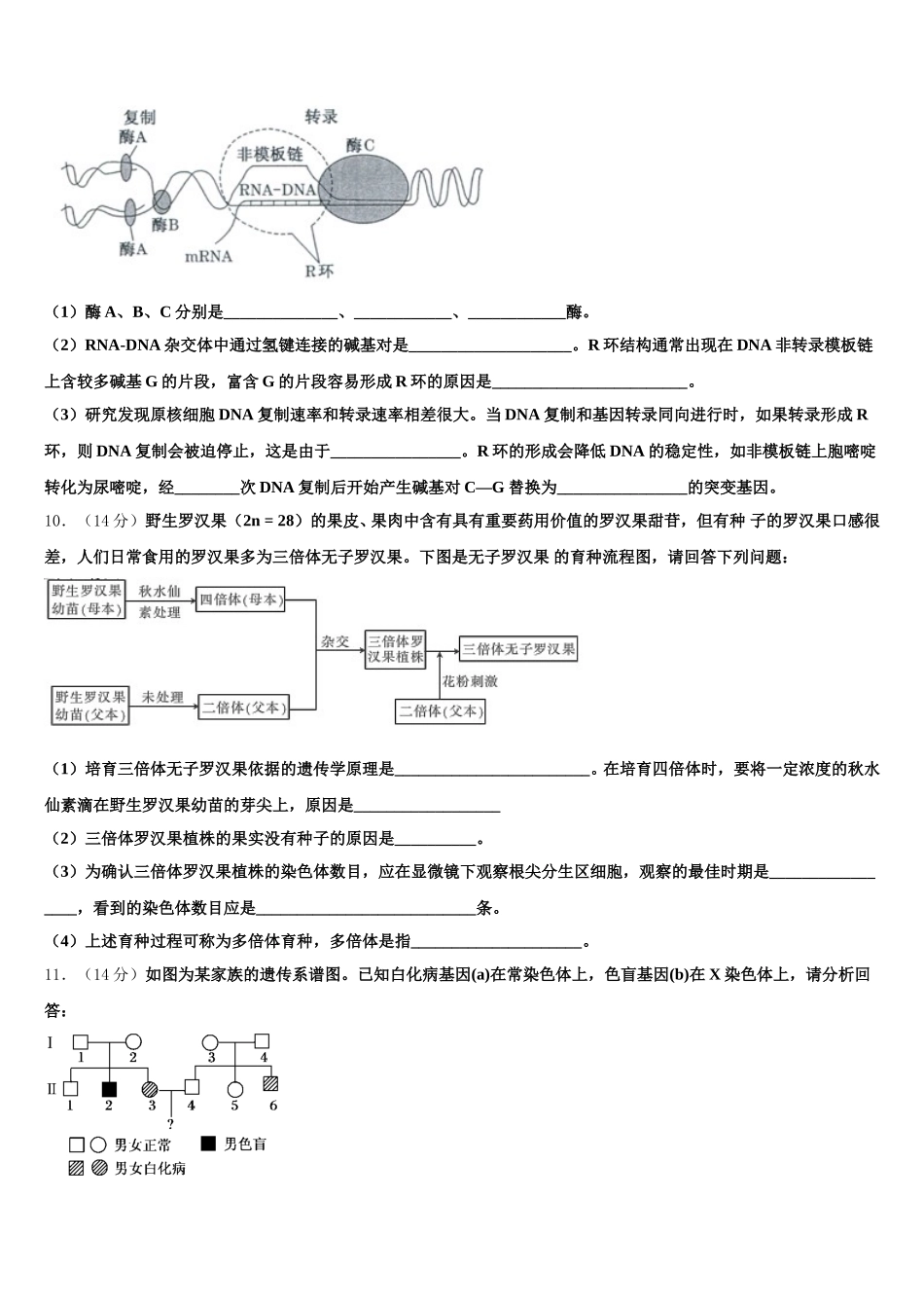 2024-2025学年河北省永年县第一中学生物高一下期末综合测试试题含解析_第3页