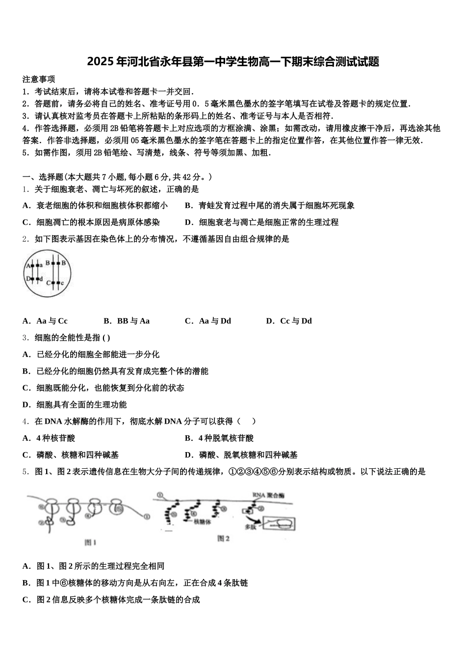 2025年河北省永年县第一中学生物高一下期末综合测试试题含解析_第1页