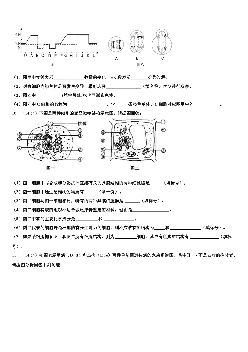2024-2025学年河北省馆陶县第一中学生物高一下期末质量跟踪监视模拟试题含解析_第2页