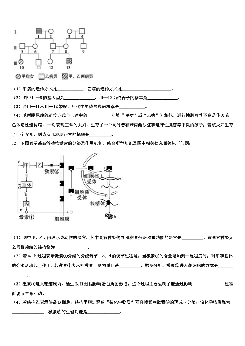 2024-2025学年河北省馆陶县第一中学生物高一下期末质量跟踪监视模拟试题含解析_第3页