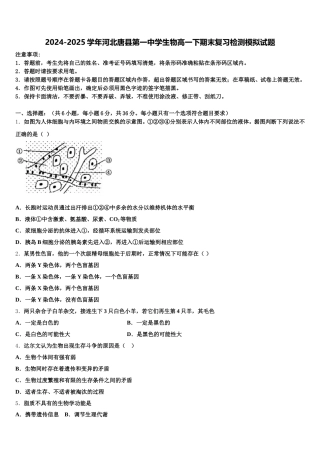 2024-2025学年河北唐县第一中学生物高一下期末复习检测模拟试题含解析