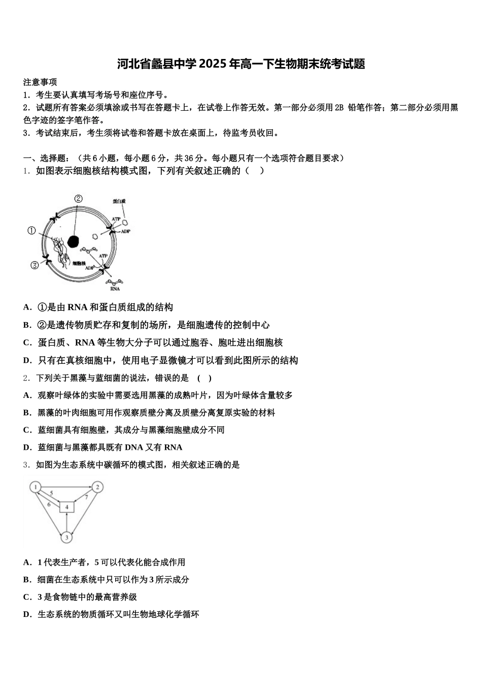 河北省蠡县中学2025年高一下生物期末统考试题含解析_第1页