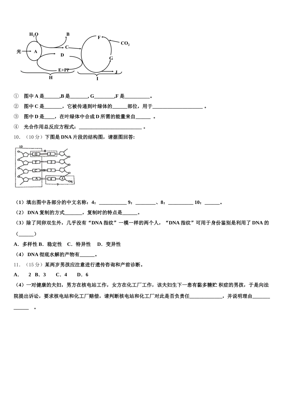 河北省正定中学2025年高一下生物期末综合测试模拟试题含解析_第3页