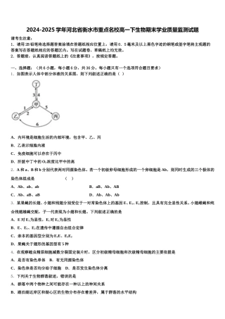 2024-2025学年河北省衡水市重点名校高一下生物期末学业质量监测试题含解析