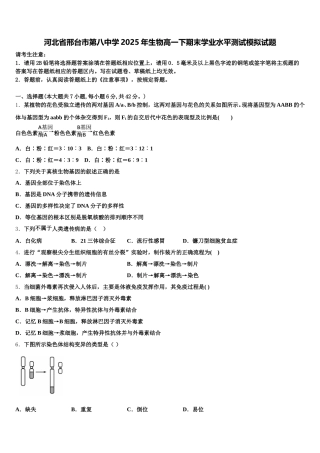 河北省邢台市第八中学2025年生物高一下期末学业水平测试模拟试题含解析
