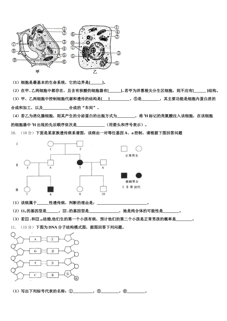 2025年河北省沧州市黄骅中学高一生物第二学期期末综合测试模拟试题含解析_第3页