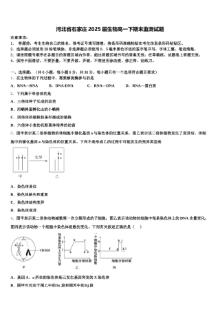 河北省石家庄2025届生物高一下期末监测试题含解析