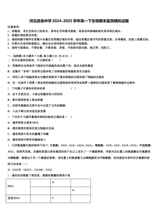 河北武邑中学2024-2025学年高一下生物期末监测模拟试题含解析