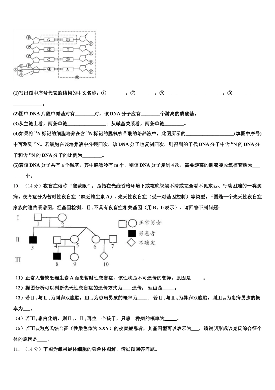 2024-2025学年河北省邢台市第一中学生物高一下期末达标检测模拟试题含解析_第3页