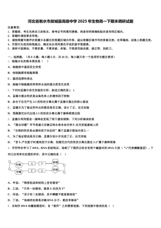 河北省衡水市故城县高级中学2025年生物高一下期末调研试题含解析