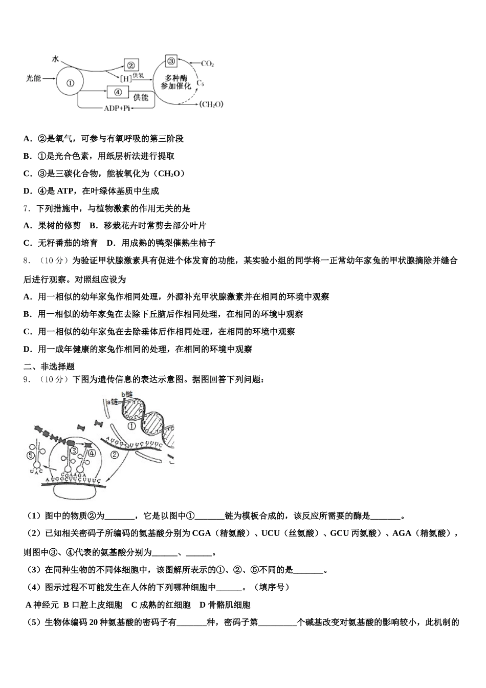 2025年河北省唐山市开滦第一中学高一下生物期末复习检测模拟试题含解析_第2页