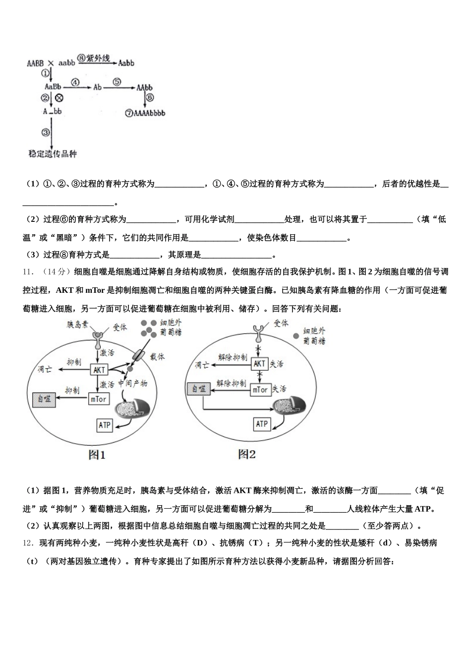 邯郸市第一中学2025届高一下生物期末复习检测试题含解析_第3页