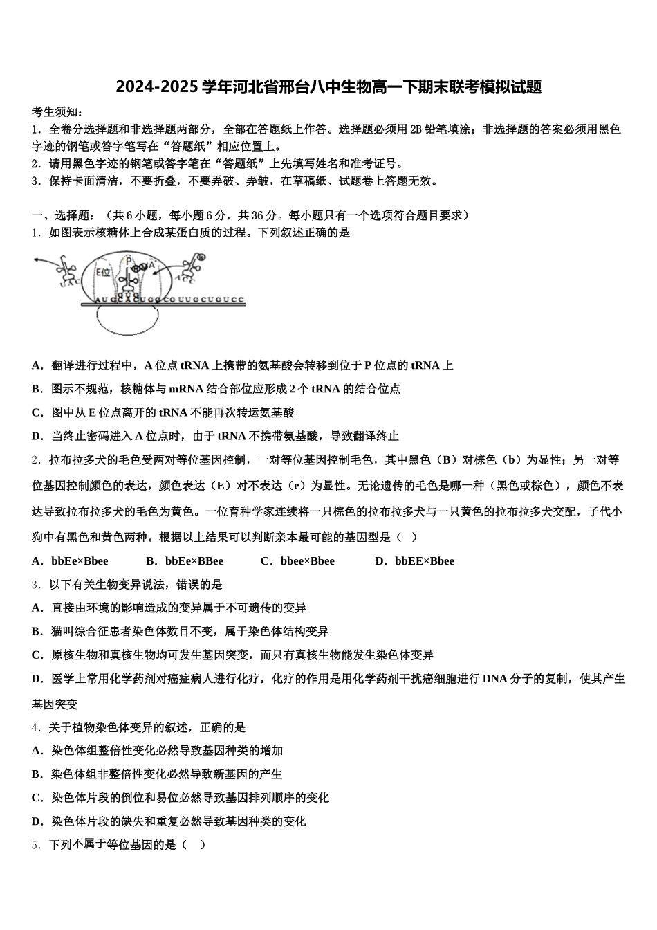 2024-2025学年河北省邢台八中生物高一下期末联考模拟试题含解析_第1页