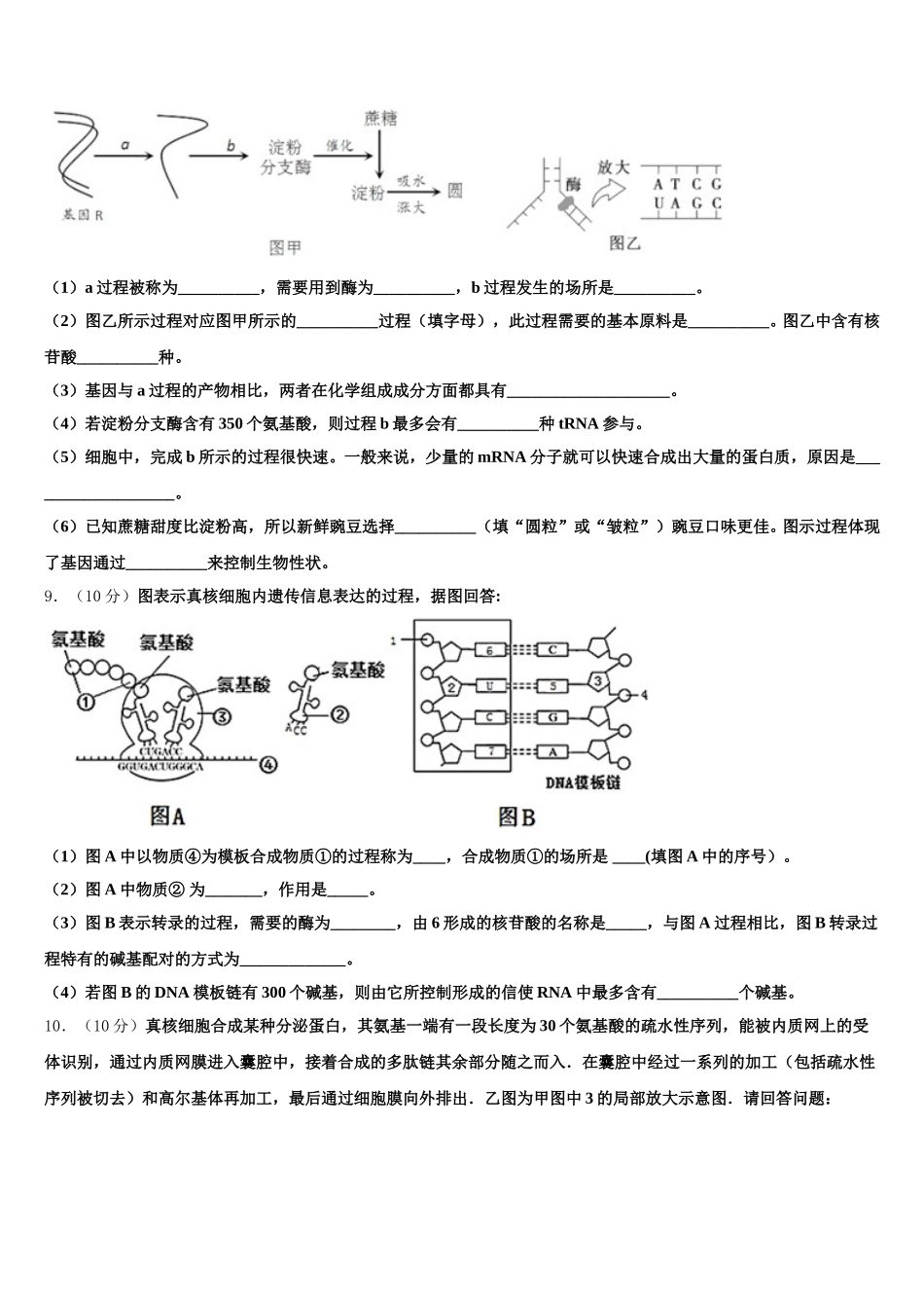 2024-2025学年河北省邢台八中生物高一下期末联考模拟试题含解析_第3页