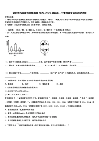 河北省石家庄市辛集中学2024-2025学年高一下生物期末达标测试试题含解析