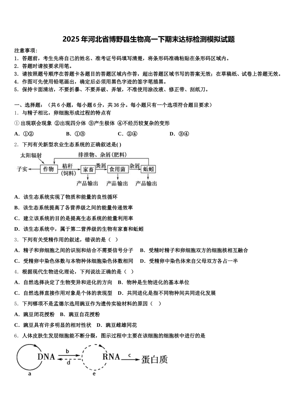 2025年河北省博野县生物高一下期末达标检测模拟试题含解析_第1页