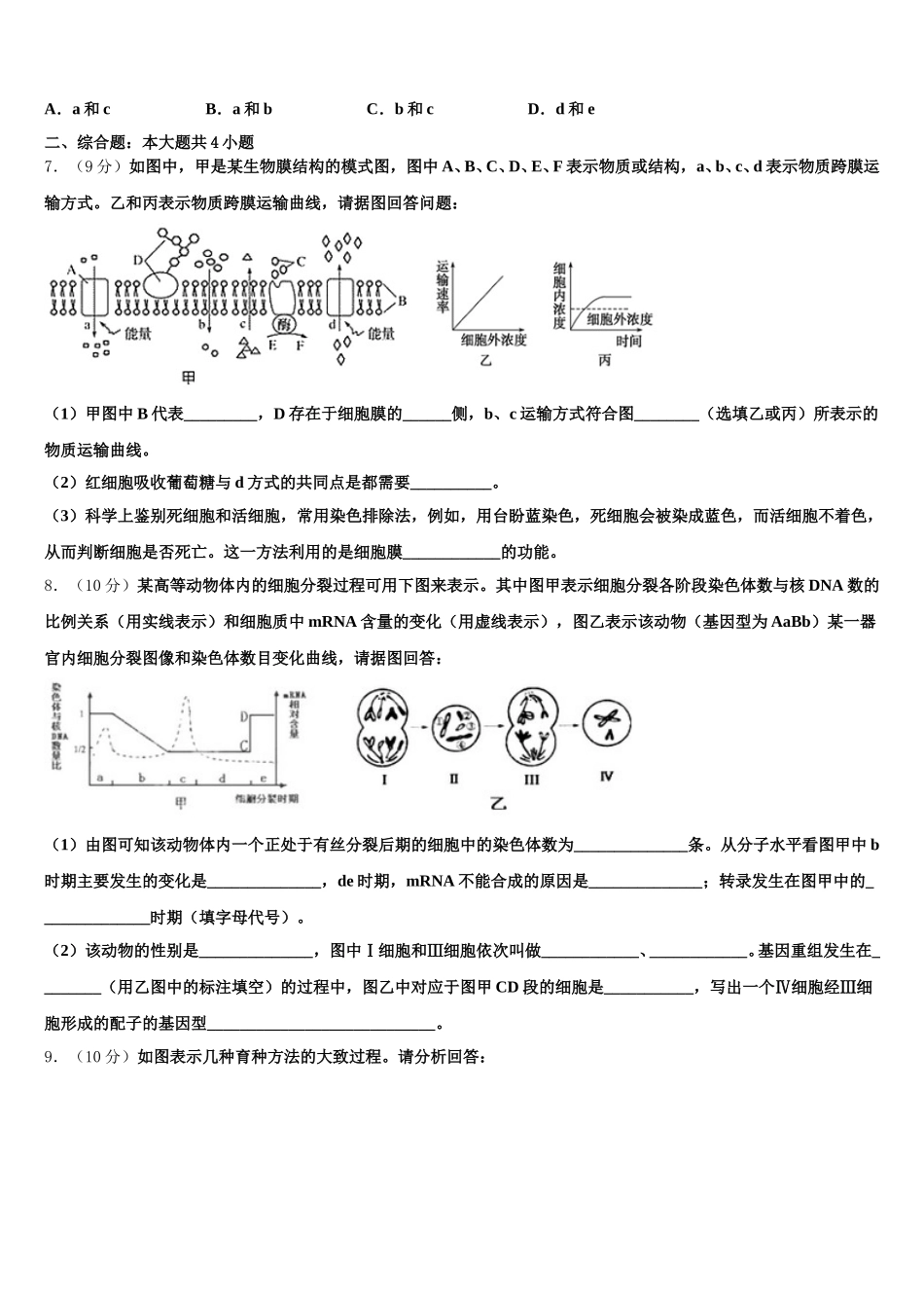 2025年河北省博野县生物高一下期末达标检测模拟试题含解析_第2页