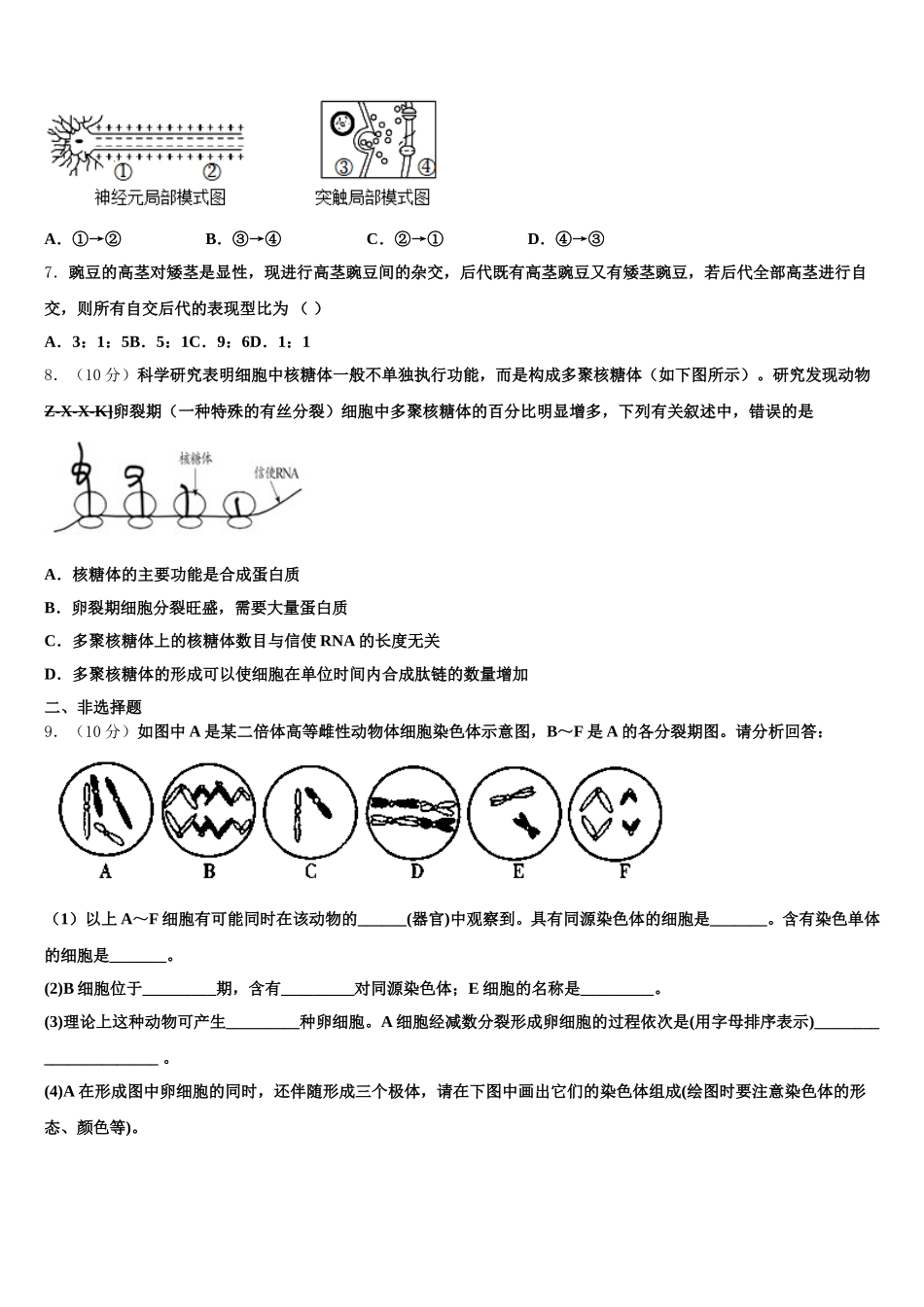 河北省卓越联盟2025届生物高一第二学期期末质量跟踪监视模拟试题含解析_第2页