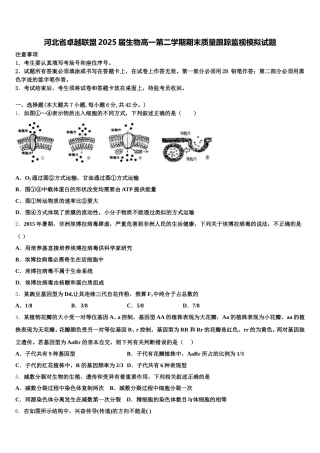 河北省卓越联盟2025届生物高一第二学期期末质量跟踪监视模拟试题含解析