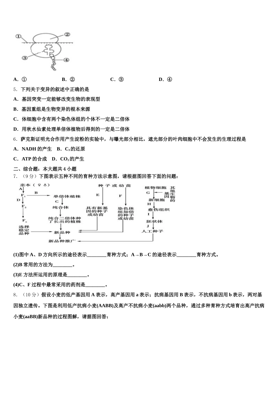 河北省临西县实验中学2025年生物高一第二学期期末检测模拟试题含解析_第2页