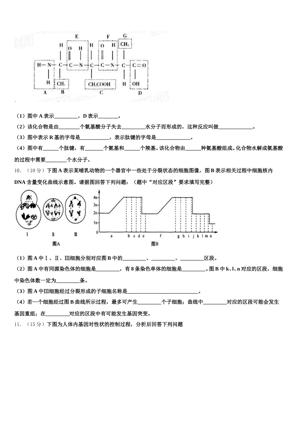 河北省邢台市南和一中2025年高一生物第二学期期末教学质量检测模拟试题含解析_第3页