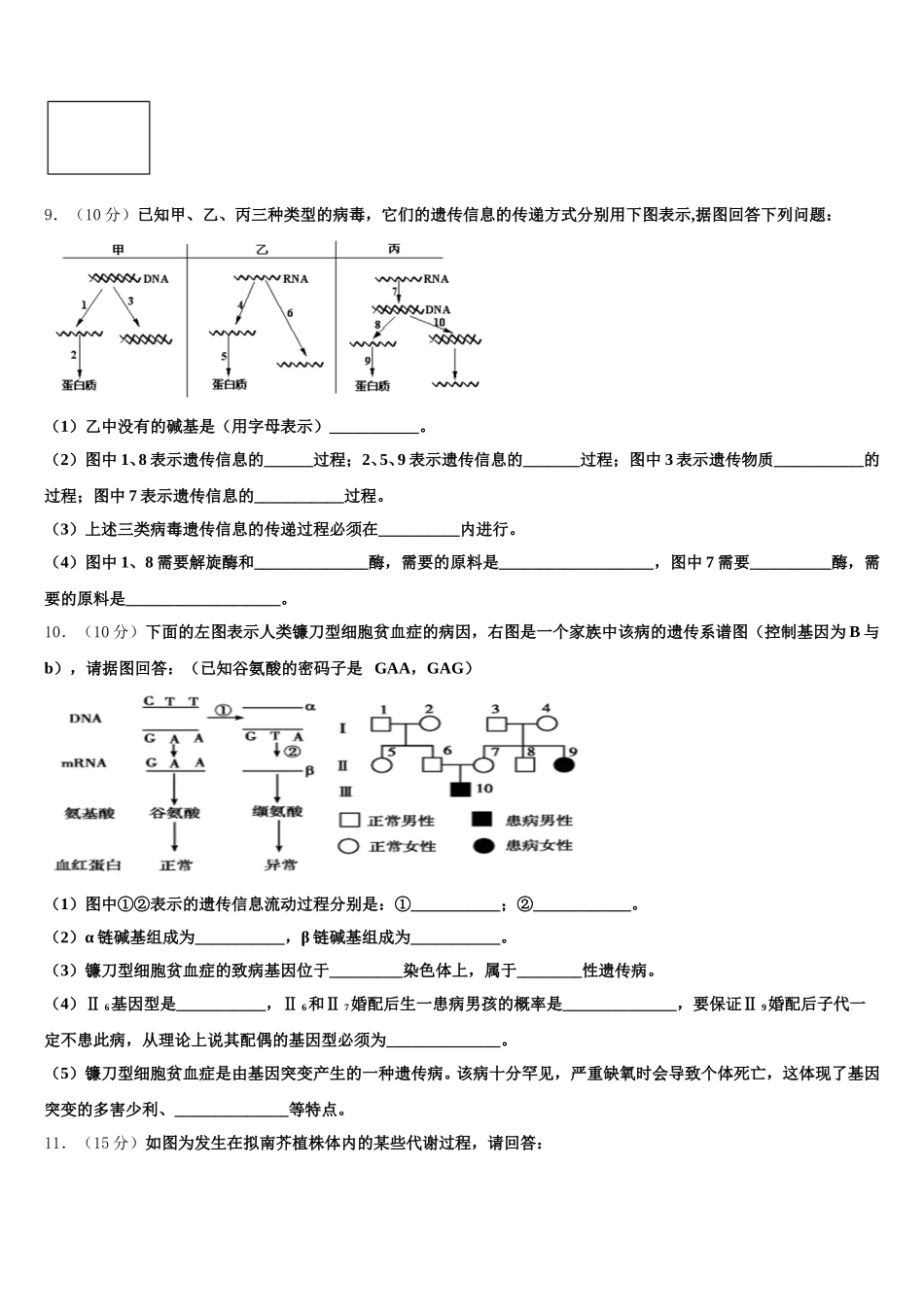 2025届沧州市重点中学生物高一第二学期期末达标检测模拟试题含解析_第3页