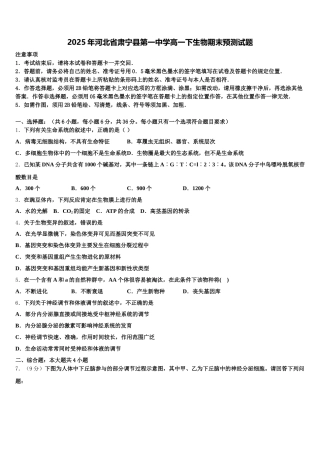 2025年河北省肃宁县第一中学高一下生物期末预测试题含解析