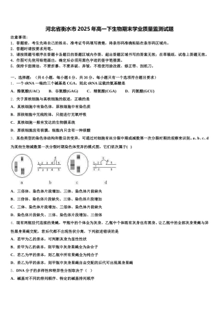 河北省衡水市2025年高一下生物期末学业质量监测试题含解析