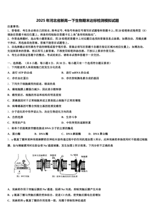 2025年河北省新高一下生物期末达标检测模拟试题含解析