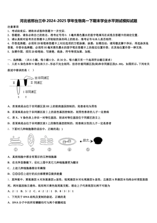河北省邢台三中2024-2025学年生物高一下期末学业水平测试模拟试题含解析