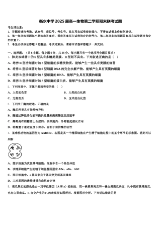衡水中学2025届高一生物第二学期期末联考试题含解析