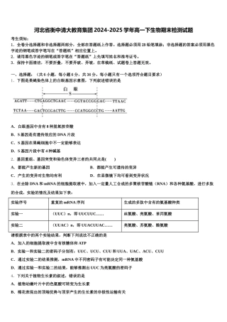 河北省衡中清大教育集团2024-2025学年高一下生物期末检测试题含解析