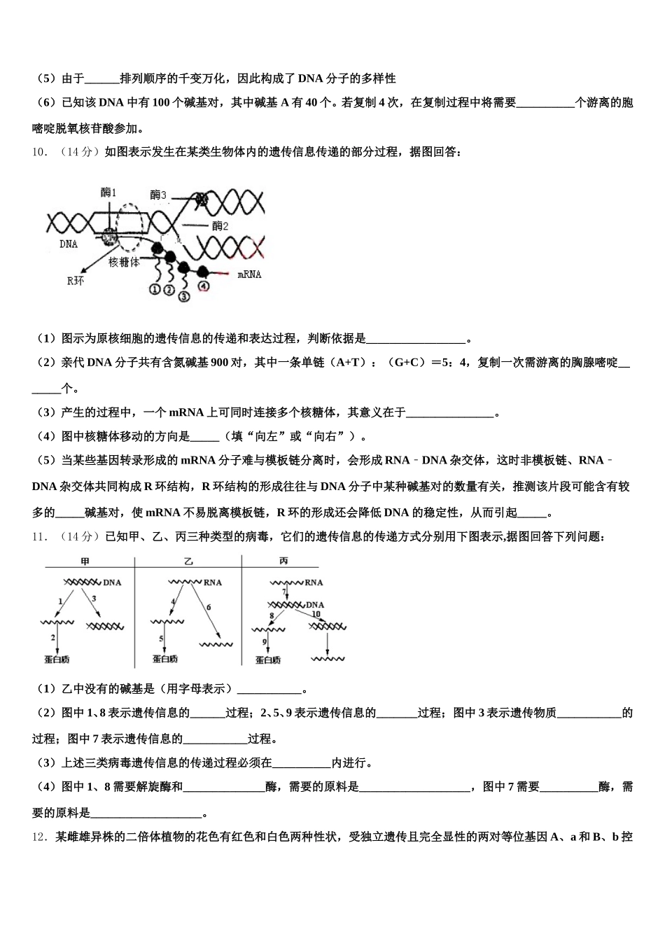 河北省石家庄市复兴中学2024-2025学年生物高一第二学期期末质量跟踪监视模拟试题含解析_第3页