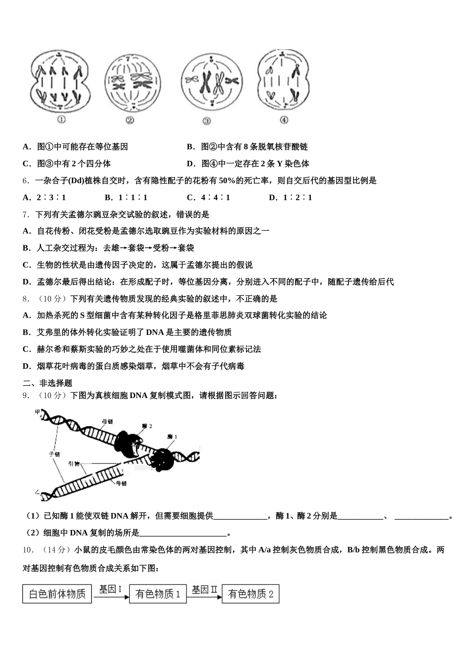 2024-2025学年河北省衡水市武邑县武邑中学生物高一第二学期期末教学质量检测试题含解析_第2页