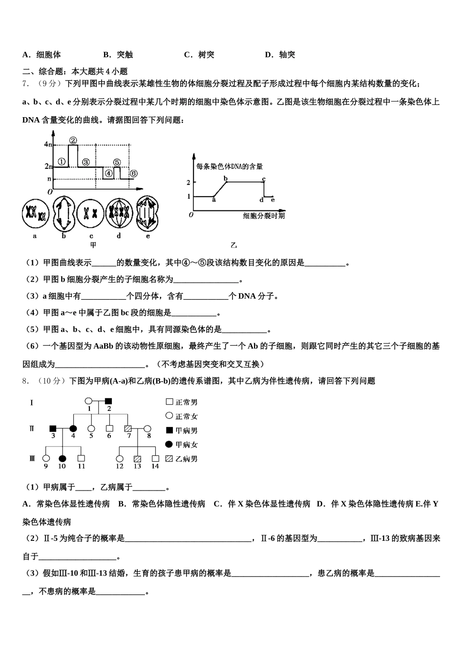 河北省承德第一中学2025年生物高一下期末考试试题含解析_第2页