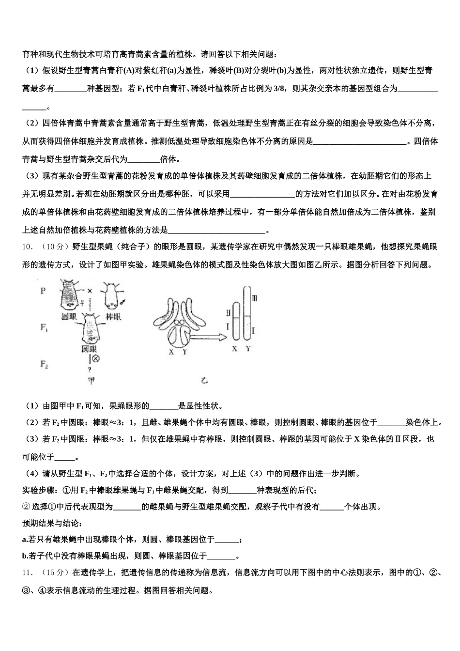 河北省邯郸市魏县第五中学2025年高一生物第二学期期末达标检测试题含解析_第3页