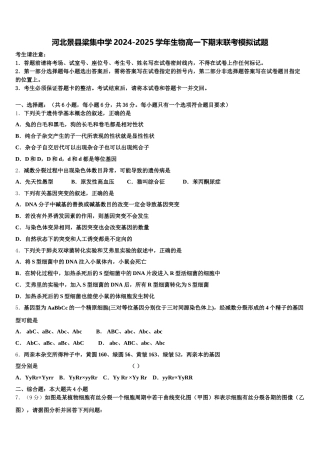 河北景县梁集中学2024-2025学年生物高一下期末联考模拟试题含解析